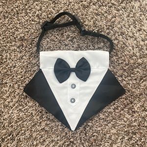 Tuxedo Dog Collar